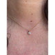 Collar Classic 4 garras