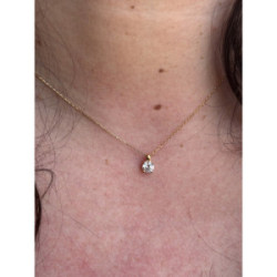Collar Classic 4 garras