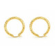 Pendientes Éclat Martelé 18K