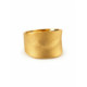 Anillo Aura Satinada 18K