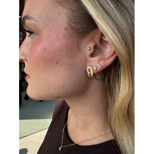 Pendientes BICOLOR – Oro Combinado 18kt con Circonita
